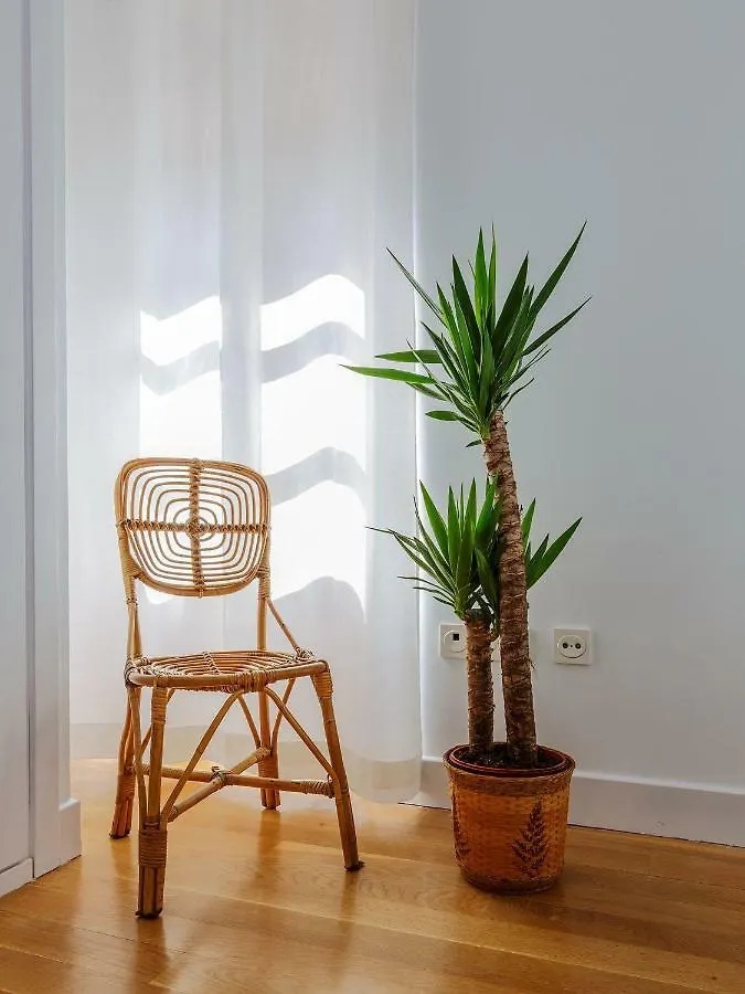 Apartamento Carlos V Hondarribia 0*,